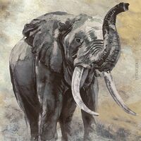 Pilttapeet Smart Art 33099 Elephant, 159×270 cm