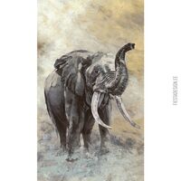 Pilttapeet Smart Art 33099 Elephant, 159×270 cm