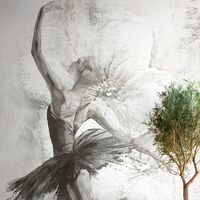 Pilttapeet Smart Art 36392 Ballerina Amelia, 212×270 cm