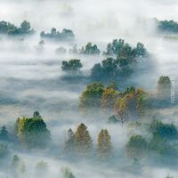 Tapeet Smart Art 96467 Foggy Landscape