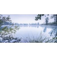 Pilttapeet Morning View SH002-VD1 (200×100 cm)