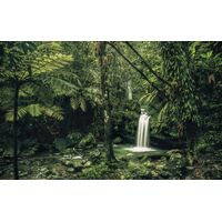 Pilttapeet My Hidden Treasure SH008-VD4 (400×250 cm)