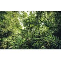 Pilttapeet Into The Jungle SH041-VD4 (400×250 cm)