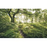 Pilttapeet Mystic Path SH045-VD4 (400×250 cm)