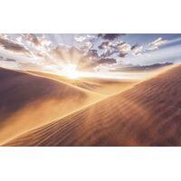 Pilttapeet Gently Touched SH051-VD4 (400×250 cm)