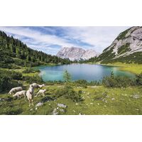 Pilttapeet Paradise Lake SH070-VD4 (400×250 cm)