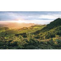 Pilttapeet Paradise Island SH071-VD4 (400×250 cm)