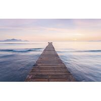 Pilttapeet Peace SH073-VD4 (400×250 cm)