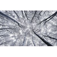 Pilttapeet Up SH081-VD4 (400×250 cm)