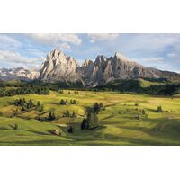 Pilttapeet Alpen SH090-VD4 (400×250 cm)