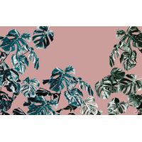 Pilttapeet Monstera Rosé P016-VD4 - 400×250 cm