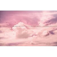 Pilttapeet Cloud Wire P017-VD4 - 400×250 cm