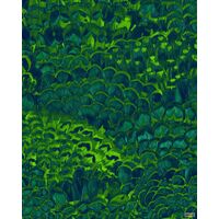 Pilttapeet Feathers P019-VD2 - 200×250 cm