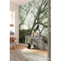 Pilttapeet The Forgotten Forest PSH092-VD4 - 400×250 cm