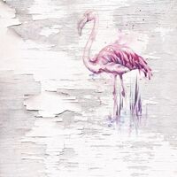 Fototapeet Infinity - Pink Flamingo 6007A-VD2