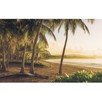 Pilttapeet Golden Lands SH064-VD4 (400×250 cm)