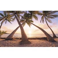 Pilttapeet Reaching the Sun SH074-VD4 (400×250 cm)