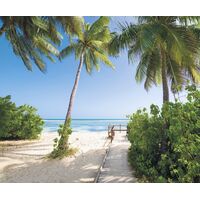 Pilttapeet Palmy Beach SH088-VD3 (300×250 cm)