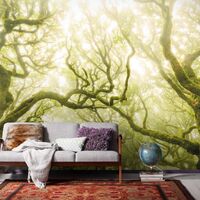 Pilttapeet Stefan Hefele Green Fire SH055-VD4