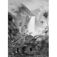 Fototapeet Jurassic Waterfall IAX4-0020