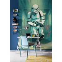 Фотообои Mandalorian Stormtrooper Print IADX4-024