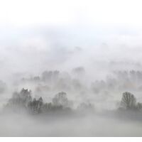 Tapeet Rebel Walls - Morning Fog FR15301-6