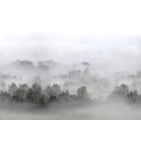 Tapeet Rebel Walls - Morning Fog FR15301-8