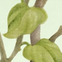 Fototapeet Oiseaux du Paradis LJX7-040