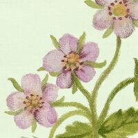 Fototapeet Oiseaux du Paradis LJX7-040