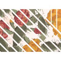 Fototapeet Cactus HX6-042