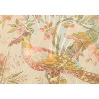 Fototapeet Oiseau de Paradis HX7-060