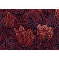 Fototapeet Tulipe HX8-051