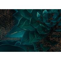 Fototapeet Ombres HX8-052