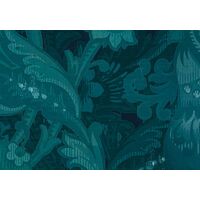 Fototapeet Fleurs de Nuit HX8-055