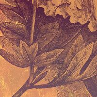 Fototapeet Harvest INX4-031