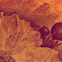 Fototapeet Harvest INX4-031