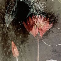 Fototapeet Night Flowers INX4-044