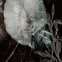 Fototapeet Night Flowers INX4-044