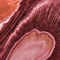 Fototapeet Mélange INX4-075