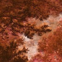 Fototapeet Autumna Rosso INX4-090