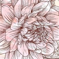 Fototapeet Allegra INX6-001