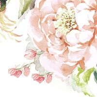 Fototapeet Nasrin INX6-039