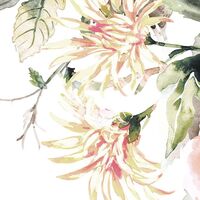 Fototapeet Nasrin INX6-039