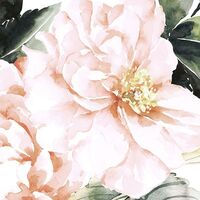 Fototapeet Nasrin INX6-039