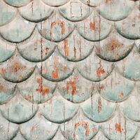 Fototapeet Antique INX6-063