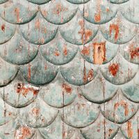 Fototapeet Antique INX6-063