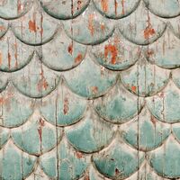 Fototapeet Antique INX6-063