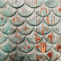 Fototapeet Antique INX6-063