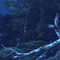 Fototapeet Midnight INX8-014