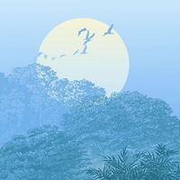 Fototapeet Deep in the Jungle INX8-052